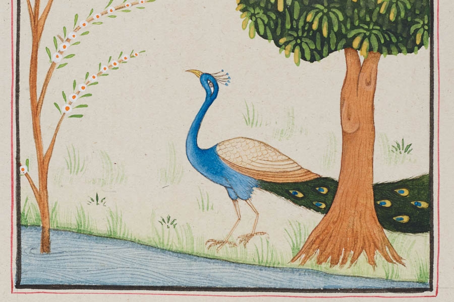 Indian miniature painting course at the Novium Museum in September 2025